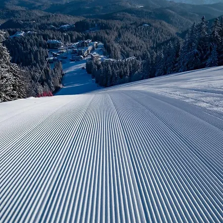 Kamena - Half Board By Asteri Hotel Pamporovo